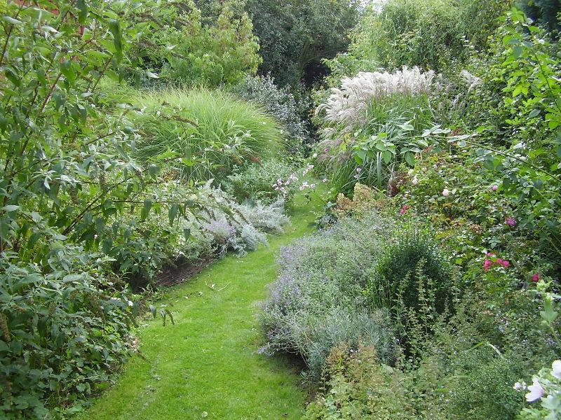Rasenweg mit Staudenpflanzung im September